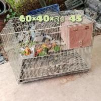 ราคา กรงนก ขนาด 40×60 สูง 45 เซนติเมตร มือสอง (40256522672)