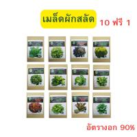 ราคา เมล็ดผักสลัด จำนวน 250-500 เมล็ด 12 ชนิด อัตราความงอก 90% งอกดี เมล็ดผัก ผักสลัด คุณภาพดี เมล็ดเปลือย ซื้อ 10 ฟรี 1 ซอง (25521369516)