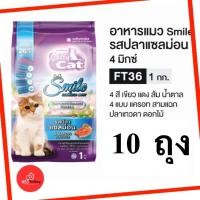 ราคา Catty Cat FT36 Salmon Flavor อาหารแมวชนิดเม็ด รสแซลม่อน แพ็ก 10KG ( 1 KG x 10 ถุง ) (27485614558)