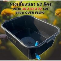 ราคา อ่างเลี้ยงปลา 62 ลิตร ระบบoverflow 46 x 61 x 22cm ท่อเดียวฟ้า อ่างปลา อ่างเลี้ยงปลา กะบะปลา อ่างปลาบอลลูน อ่างปลาเมกาดะ (57453849344)