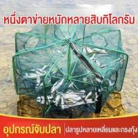 ราคา ตาข่ายดักปลา มุ้งดักปลา ที่ดักกุ้ง กระชังดักปลา 6/8/10/16 ช่อง ที่ดักกุ้งฝอย พับเก็บได้ ลอบดักปลา (44320238795)