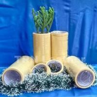 ราคา มาสกิ้งเทป 12 มม**** (41328754142)