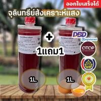 ราคา (1แถม1)(ใช้โค้ดส่งฟรี)จุลินทรีย์สังเคราะห์แสง PSB ขนาด1ลิตร 1แถม1 สูตรเข้มข้นสีแดงสด ใช้ขยายเชื้อต่อได้ไม่รู้จบ (23932965965)