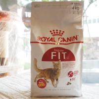 ราคา Royal Canin Fit 32 อาหารแมวแบบเม็ด สำหรับแมวโตรูปร่างดี อายุ 1 ปีขึ้นไป (4kg) (7720783011)