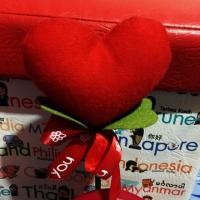 ราคา มีส่วนลด50%กระถางดอกไม้หัวใจ พร้อมตาข่าย (127943557)