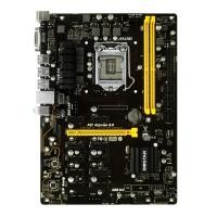 ราคา 1151 BIOSTAR TB250 BTC PRO พร้อม Black I/O (ฝาหลัง) (4048234049)