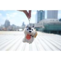 ราคา นุ่มนิ่ม พวงกุญแจ Siberian Husky ไซบีเรียนฮัสกี้ & Labrador ลาบราดอร์ & Poodle พุดเดิ้ล 4นิ้ว Anee Park หมา สุนัข (28506572375)