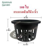 ราคา 100 ใบ กระถางกล้วยไม้ ขนาด 8 นิ้ว กระเช้ากล้วยไม้ กระเช้า กระถางพลาสติก ดำ เกรด A (11710812577)