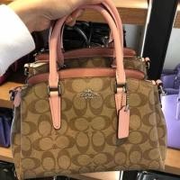 ราคา Coach mini sage carryall in signature canvas (2262844556)