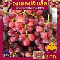 ราคา องุ่นไร้เมล็ด องุ่นแดง 2 กก. นำเข้าจากออสเตรเลีย องุ่นนำเข้า Grapes องุ่น ผลไม้สด ส่งฟรี (20124855524)