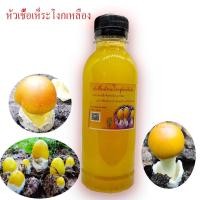 ราคา หัวเชื้อเห็ดระโงกเหลือง1ขวดจากเห็ดป่าแก่จัด ต้นไม้ที่เหมาะกับการราดเชื้อ ยางนา กระบาก ตะแบก เต็ง รัง ต้นพะยอม เต็งรัง (11545641098)