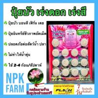 ราคา ปุ๋ยบัว 10-26-13 ปุ๋ยไม้น้ำ ตรา ช่องาม สูตรเร่งดอก ใช้ง่าย เห็นผลไว ใช้ได้กับบัว และไม้น้ำทุกชนิด (27813977989)