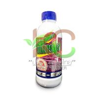 ราคา ฟิโพรนิล (Fipronil) 1,000 ml. สารกำจัดปลวก ยาฆ่าปลวก ยาฆ่าแมลง สารกำจัดแมลงศัตรูพืช (4814413258)