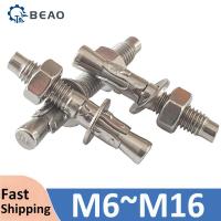 ราคา สกรูขยาย 304 สแตนเลสสตีล Wedge Anchor Bolt ผ่าน Bolt M6 M8 M10 M12 M14 M16 ขยาย Bolt (48105941513)