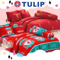 ราคา ⚽️ลิเวอร์พูล liverpool ⚽ชุดผ้าปูที่นอน+ผ้านวม 5ฟุต ฟุตบอล ลายบอล (26902162672)