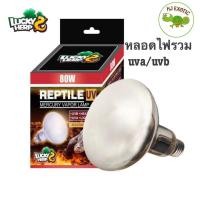 ราคา Lucky herp หลอดไฟ รวม UVA UVB ในหลอดเดียวกัน 80W (5957075578)