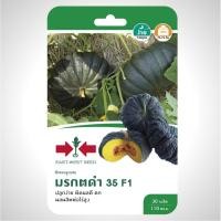 ราคา เมล็ดฟักทอง มรกตดำ35 (ซอง) ศรแดง (44505952066)