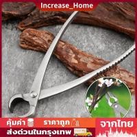 ราคา ยาว21เซ็นติเมตร คีมปากนกแก้ว คีมท้องเรือ กรรไกรตัดแต่งกิ่งบอนไซ คีมตัดแต่งบอนไซ อุปกรณ์ตัดแต่งบอนไซ (44129233371)