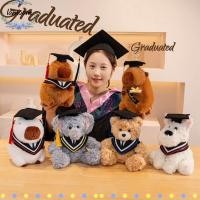 ราคา LAMOO ตุ๊กตาหมีนั่ง, ตุ๊กตารับปริญญาหมีขนาด 25 ซม., ตุ๊กตา Capybara ตุ๊กตา Dr. นักเรียนหมี (49259061056)