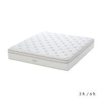 ราคา INDEX LIVING MALL ที่นอน THERAFLEX รุ่นฮาน่า - สีขาว/ครีม (41678120703)