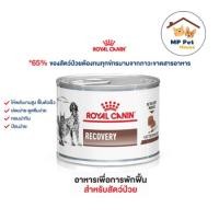 ราคา Royal Canin: Recovery อาหารเปียก สำหรับสุนัขและแมวป่วยระยะพักฟื้นและการดูแลหลังผ่าตัด 195 g. (24069356164)