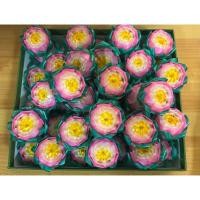 ราคา เหรียญโปรยทาน ดอกบัว (ตัวเปล่า) (41750452675)