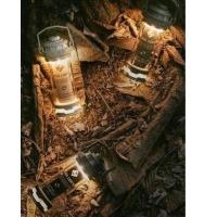 ราคา CARGO CONTAINER -CC Dual Light Mini โคมไฟแบบแนวๆรุ่นใหม่ในแบบคอนเทนเนอร์ (18089764225)