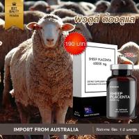 ราคา รกแกะออสเตรเลีย SHEEP PLACENTA 60000 mg (28641034980)