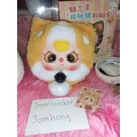 ราคา เบบี้ทรีLucky cat กระเป๋าซิปแมวนำโชค ระบุตัวแกะเชคตัวแล้ว (29718504908)