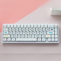 ราคา Gmk Dots Keycaps Clone Cherry Profile Dye-Sub PBT (22243715173)