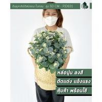 ราคา ต้นยูคาลิปตัสปลอม "ใบกลม" พร้อมตะกร้าจูดสาน 50 CM [ออกใบกำกับภาษีได้ ] (17023074326)