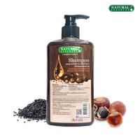 ราคา แชมพูสมุนไพร ประคำดีควายผสมน้ำมันงา 500 มล. Natural Essences ลดรังแค ลดการคันศรีษะ ให้เส้นผมมีน้ำหนัก สำหรับผมทุกสภาพ (50101654178)