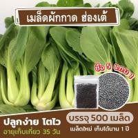 ราคา เมล็ดพันธุ์ผักกาดฮ่องเต้ 500 เมล็ด แบ่งขาย (ซื้อ 5 แถม 1) (9382450801)