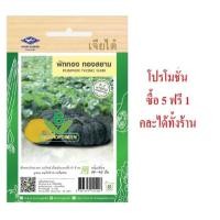 ราคา 5 ฟรี 1 คละได้ทั้งร้าน เมล็ดพันธุ์ ฟักทอง ทองสยาม F1 เจียไต๋ (28976386561)