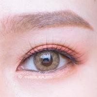 ราคา คอนแทคเลนส์ | Mini Sheer brown (1211566006)