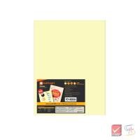 ราคา (แพ็ค 10) Elephant ตราช้าง กระดาษสติ๊กเกอร์ สติ๊กเกอร์ พีวีซีใส 530x700 มม. จำนวน 10 แผ่น/แพ็ค (24047210717)