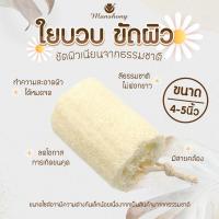 ราคา ใยบวบขัดผิว ใยบวบอาบน้ำ BABS24 ใยบวบขัดตัว by Manshong (27576582555)