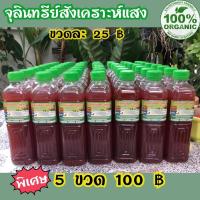 ราคา จุลินทรีย์สังเคราะห์แสง (PSB) ปลอดภัย ไร้สารเคมี 100% (8535057980)