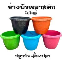 ราคา อ่างบัวพลาสติก ลายมังกร ลายดอกไม้ มี5สี (25621462401)