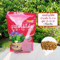 ราคา ปุ๋ยออสโมโค้ท สูตรเสมอ 13-13-13 บรรจุ 1 กิโลกรัม บำรุงต้น ราก ใบ (13660630896)
