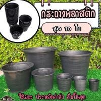 ราคา set 10ใบ กระถางดำ กระถางพลาสติก ชุด10ใบ กระถางต้นไม้ พลาสติกดำ 2นิ้ว 3นิ้ว 4นิ้ว 6นิ้ว 8นิ้ว (6699314996)