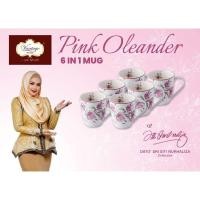 ราคา RAYA แก้ววาเนต สีชมพู oleander 6 ชิ้น ป้าย Dato sita nurhalza (22743362001)