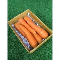 ราคา แครอท นอก/ออสเตรเลีย[Organic] - มีใบรับรองปลอดสาร คั้นน้ำอร่อย แครอทนำเข้า แครอทนอก แครอทหวาน Carrot (56901057033)