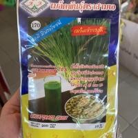 ราคา เมล็ดพันธุ์ข้าวสาลี (ตรา3A) ประมาณ200เมล็ด (3924515573)