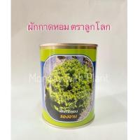 ราคา เมล็ดผักกาดหอม ผักกาดหอมรองจาน ผักกาดหอม สลัด ผักสลัด ตราลูกโลก (65 กรัม) (27230317172)