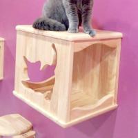 ราคา กล่องแมวติดผนัง Cat Box By Melody กล่องแมว กล่องไม้แมว บ้านไม้แมว บ้านกล่องไม้ บ้านกล่องไม้แมว ลายแมวยืดเส้น 31x40x34.5 (7140279778)