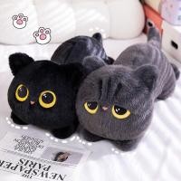 ราคา ตุ๊กตาแมวสีดํานอนน่ารักหมอนของขวัญวันเกิดหญิงโซฟากดเตียงหมอน แร็กดอลล์ (53857650619)