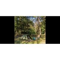 ราคา เต็นท์Coleman TOURING DOME/ST ลดราคา ของแท้(สีเขียว) (45704027929)