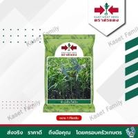 ราคา ผักบุ้ง ไผ่เงิน 1 กิโลกรัม เมล็ดผักบุ้ง ตราศรแดง (18822232456)