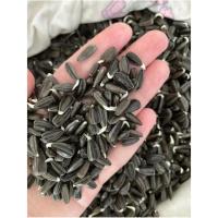ราคา เมล็ดต้นอ่อนทานตะวัน สำหรับปลูกต้นอ่อน 1 Kg (43610639643)